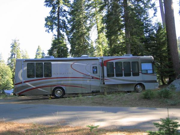 Sequoia NP