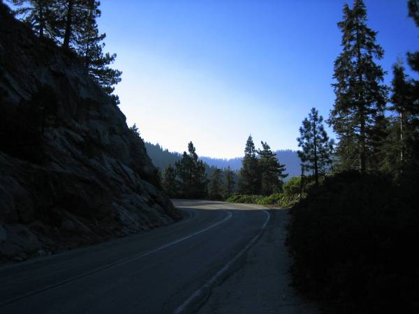 Sequoia NP