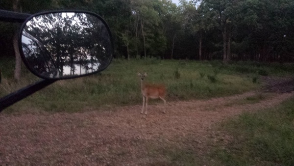 Sequoyah State Park