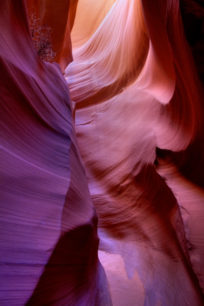 Serine Moment, Lower Antelope Canyon, Navaho Tribal Park