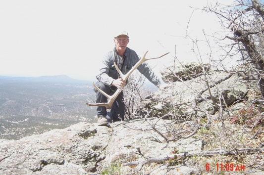 Shed hunting NM