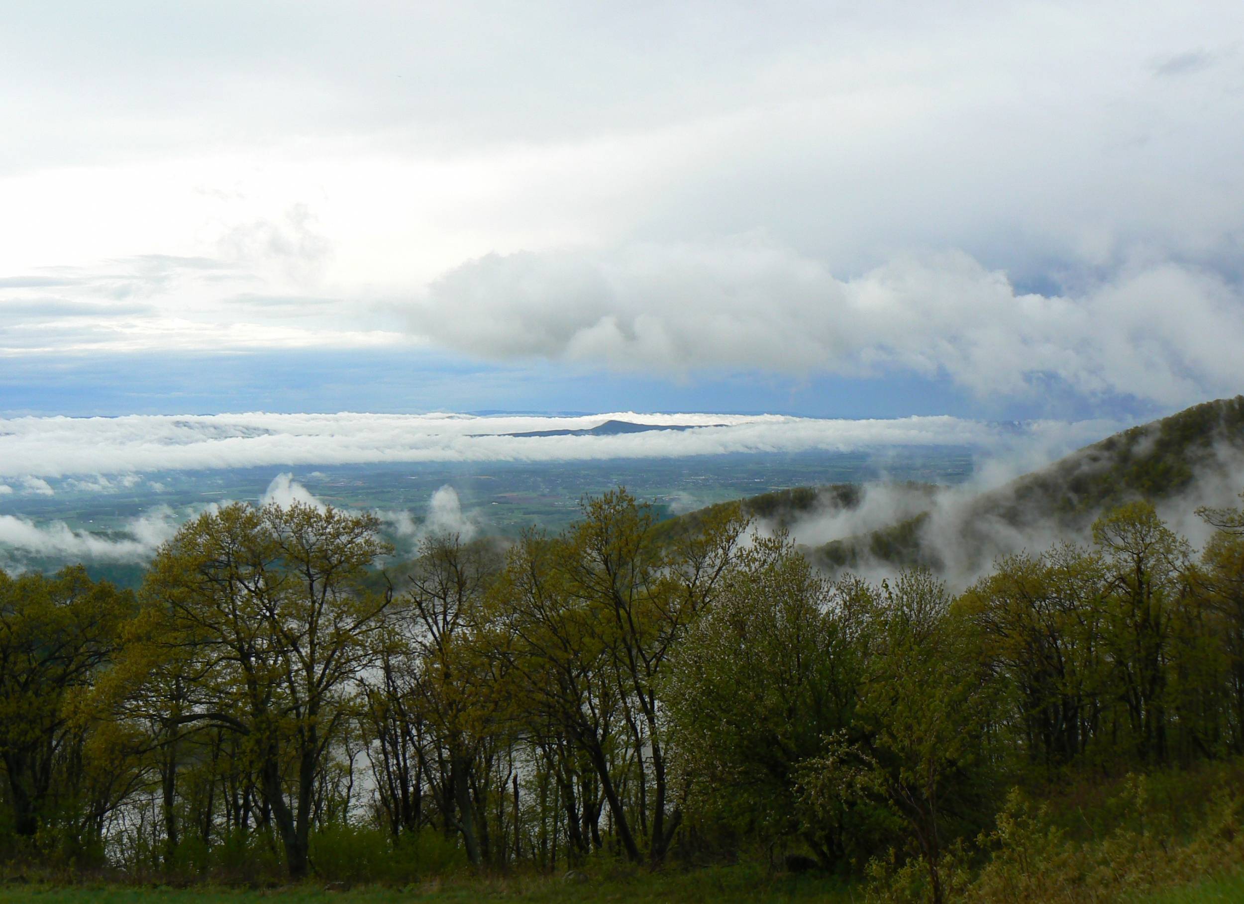 Shenandoah Ntional Park