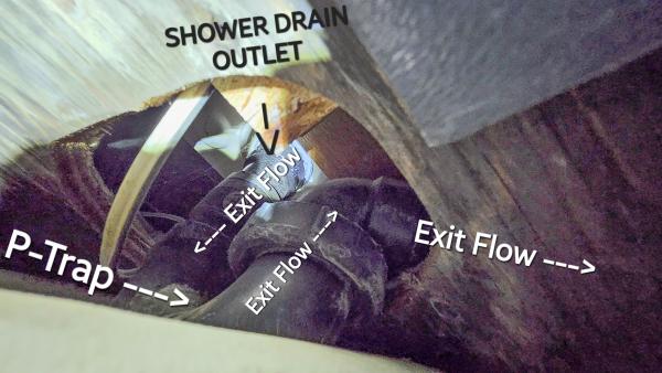 Shower Drain -> P-Trap -> exit flow