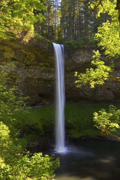 Silver Falls, Oregon