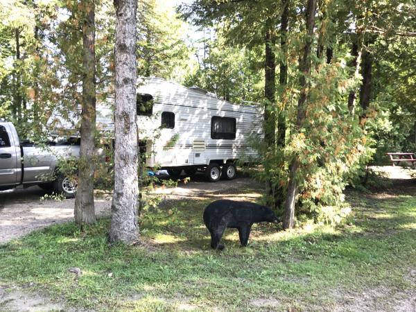 Site 80 Castle Rock Campground, St. Ignace MI