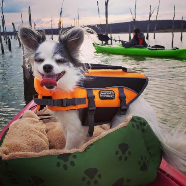 Skippy kayaking