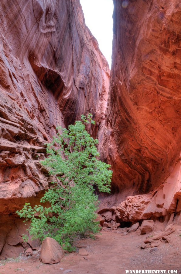 Slot off Long Canyon