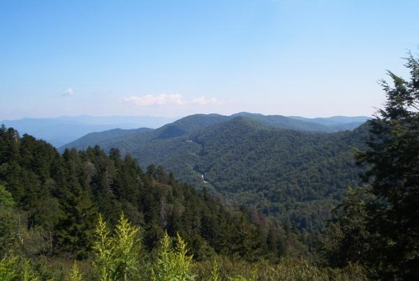 Smoky Mountains
The Great Smokies are part of an International Biosphere Reserve. The range is home to an estimated 187,000 acres (760 km2) of old gro