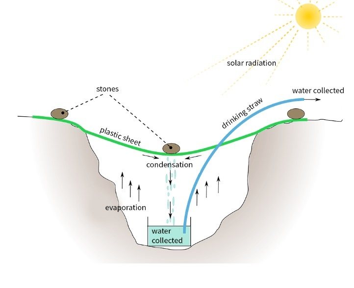 Solar Still Drawing