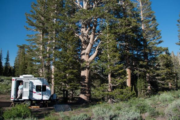 Sonora Pass, Calif., June 23, 2015