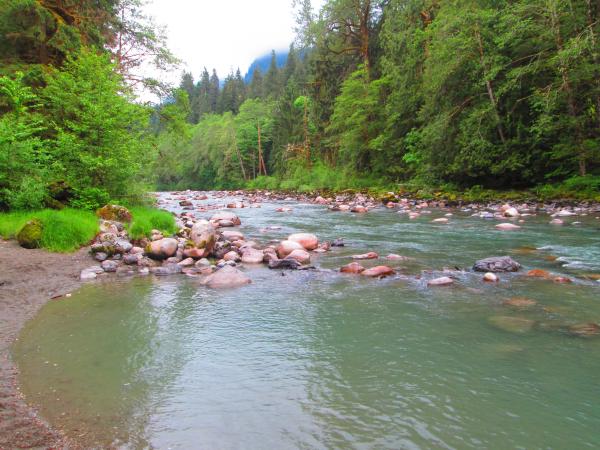 South Fork Stilliquamish River from campsite 5-27-15