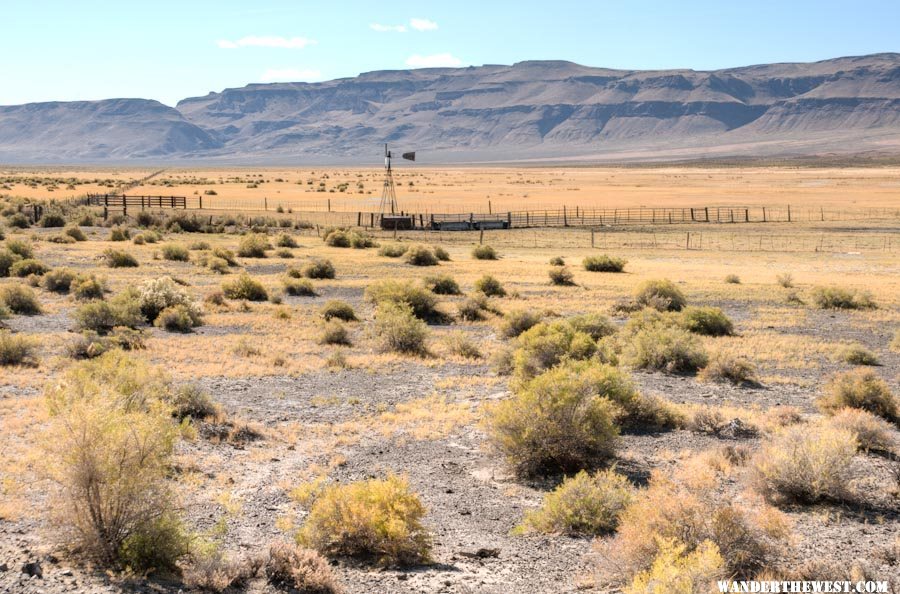 Southern Bog Hot Valley