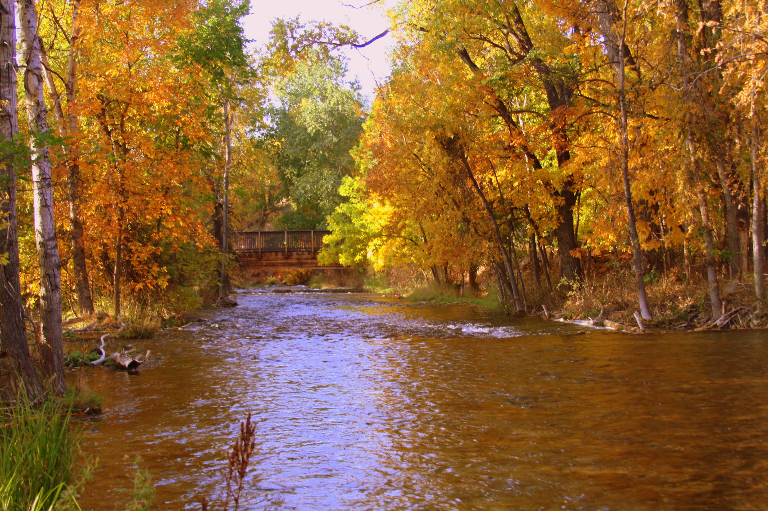 Spearfish Creek, South Dakota