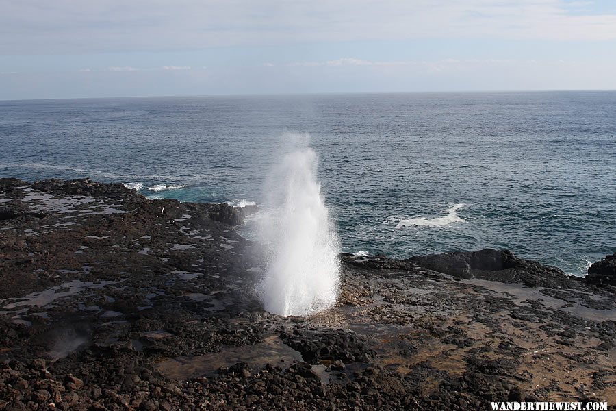 Spouting Horn - Poipu