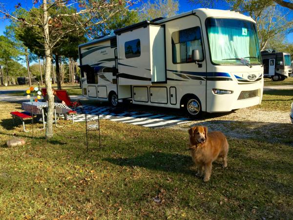 St. Augustine Stagecoach RV Park Feb 2015