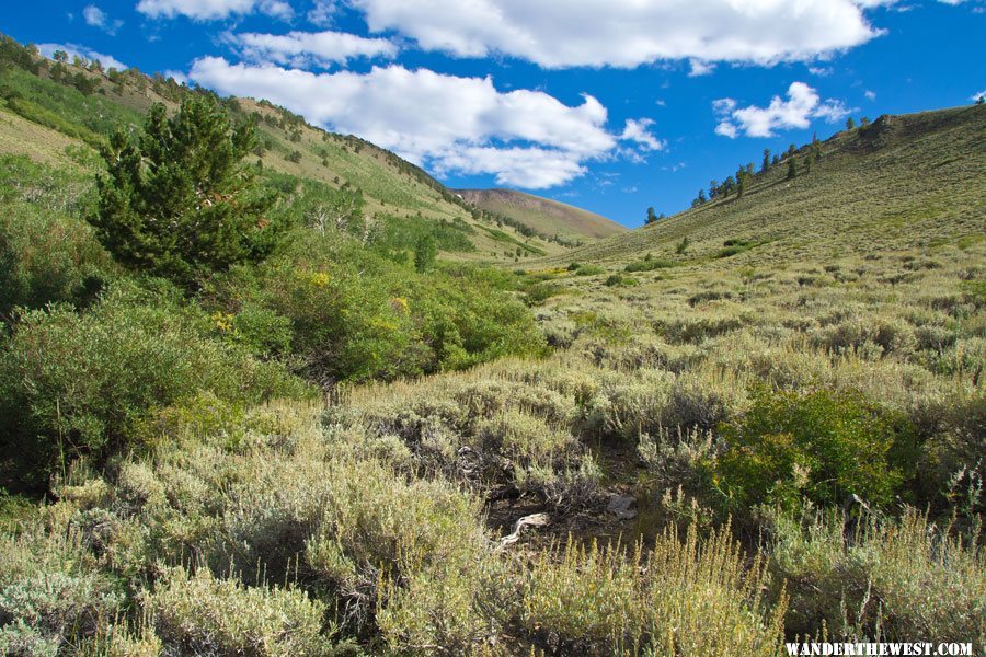 Stewart Creek Drainage