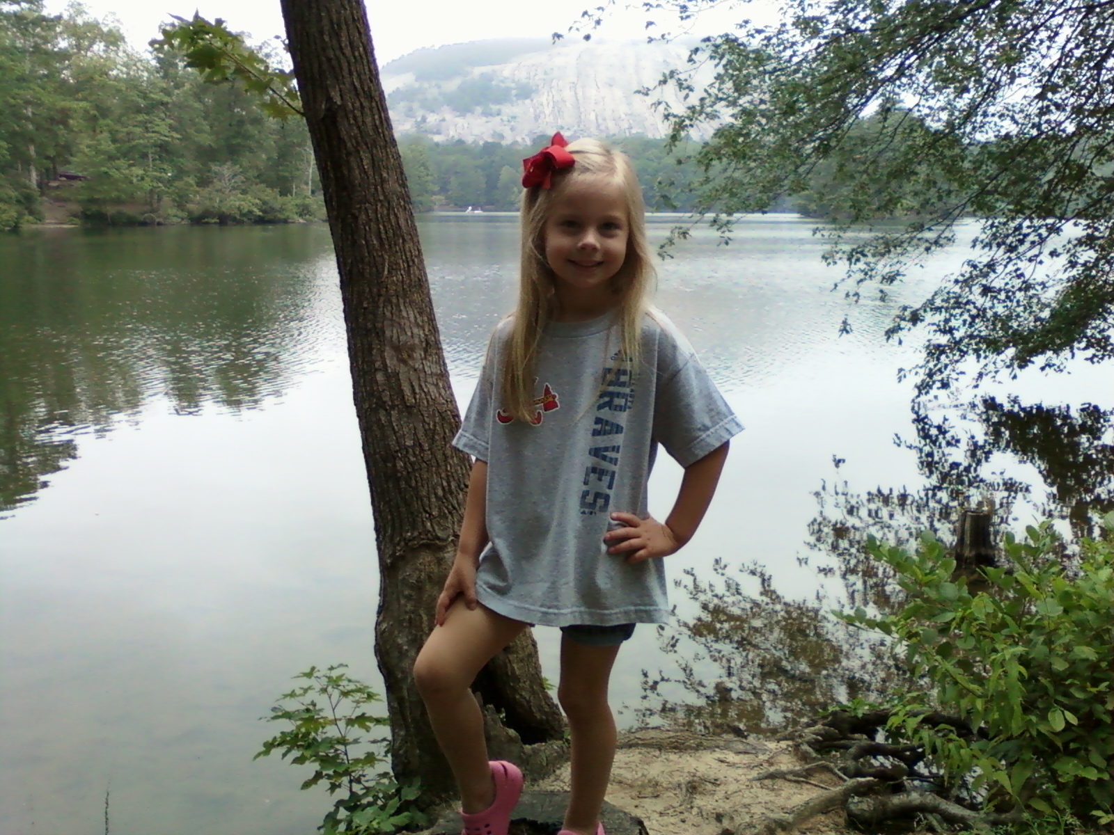 stone mountain in back drop