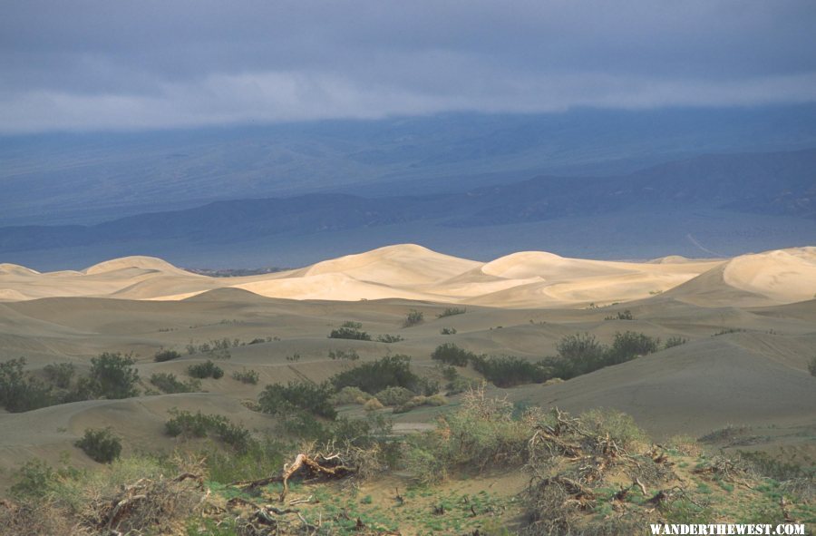 Storm over the Dunes