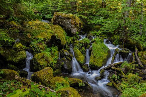 Stream Below Watson Falls, OR