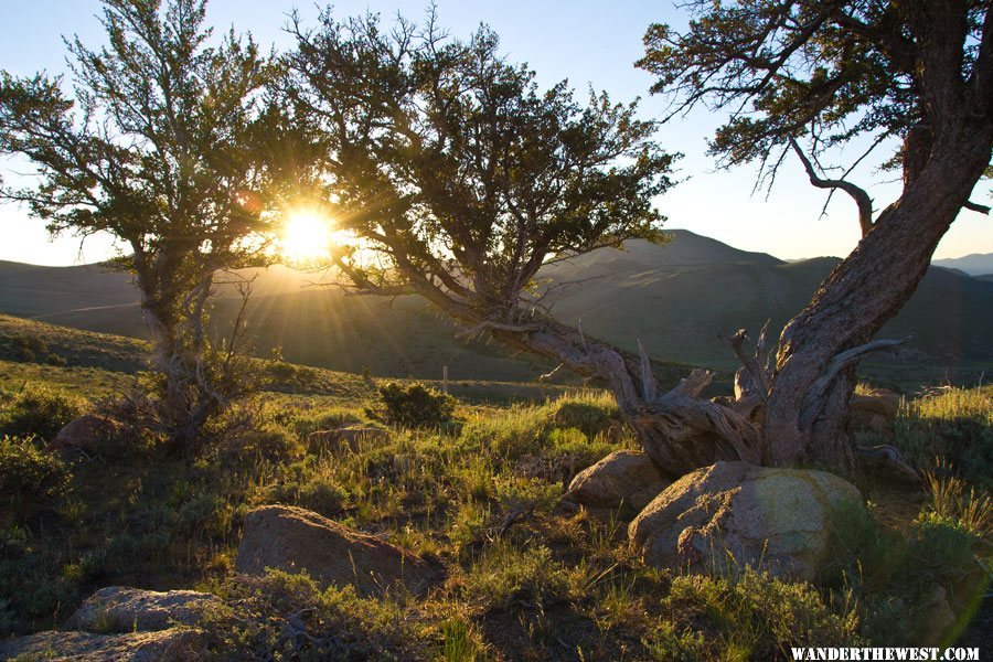 Sunrise Jefferson Summit