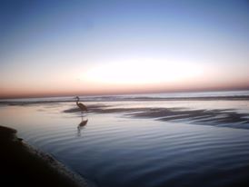 Sunrise on Orange Beach Alabama in November of 2009