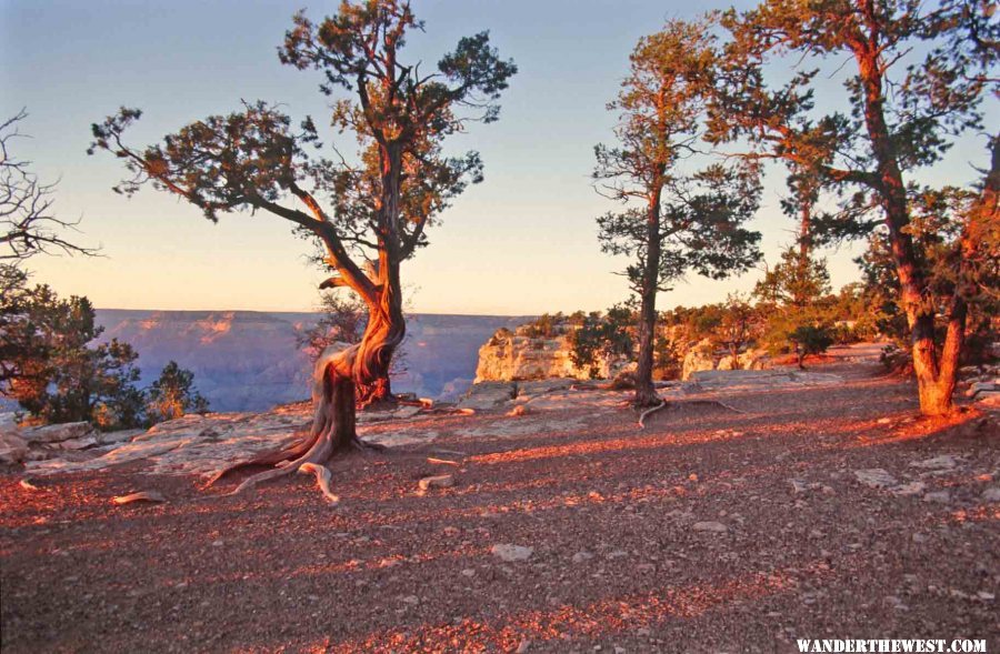 Sunset along the Rim