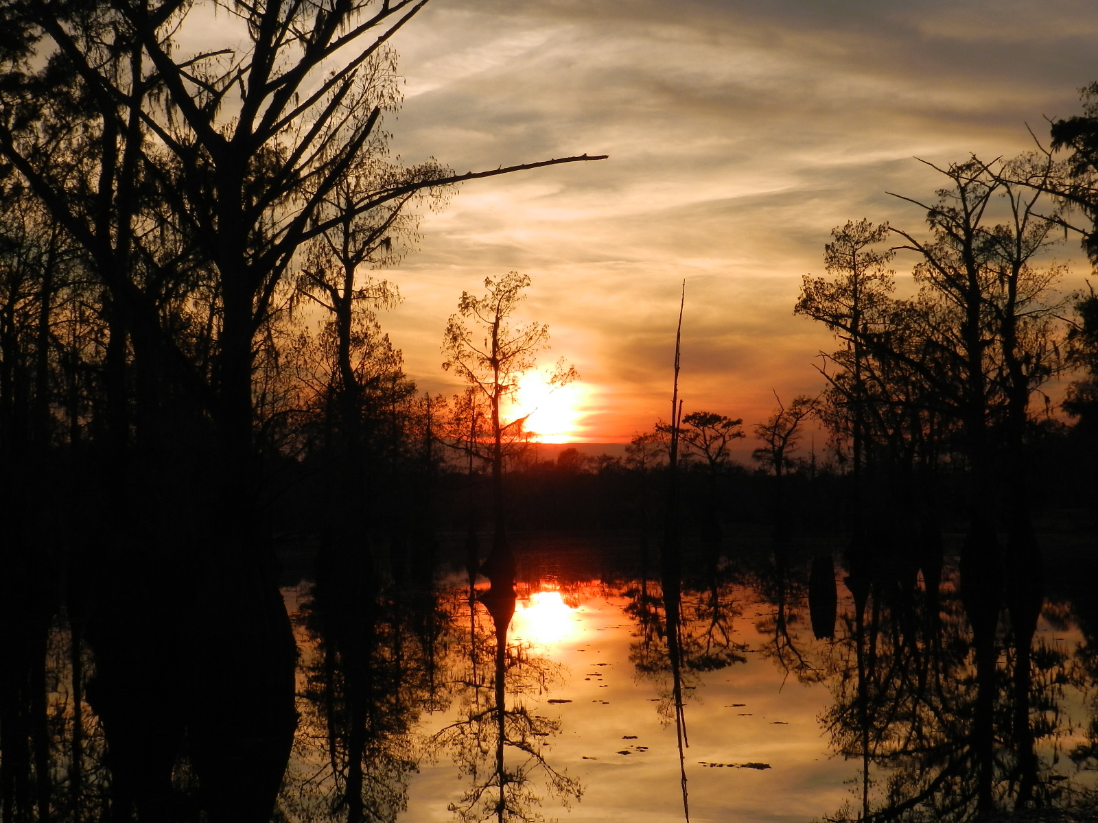 Sunset in Louisiana