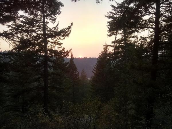 Sunset through the trees at the back of our campsite - Scout Mountain Campground, Pocatello, ID