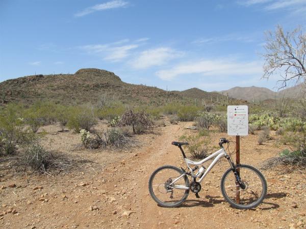 Sweet Water Mtn Bike Trails Tucson AZ