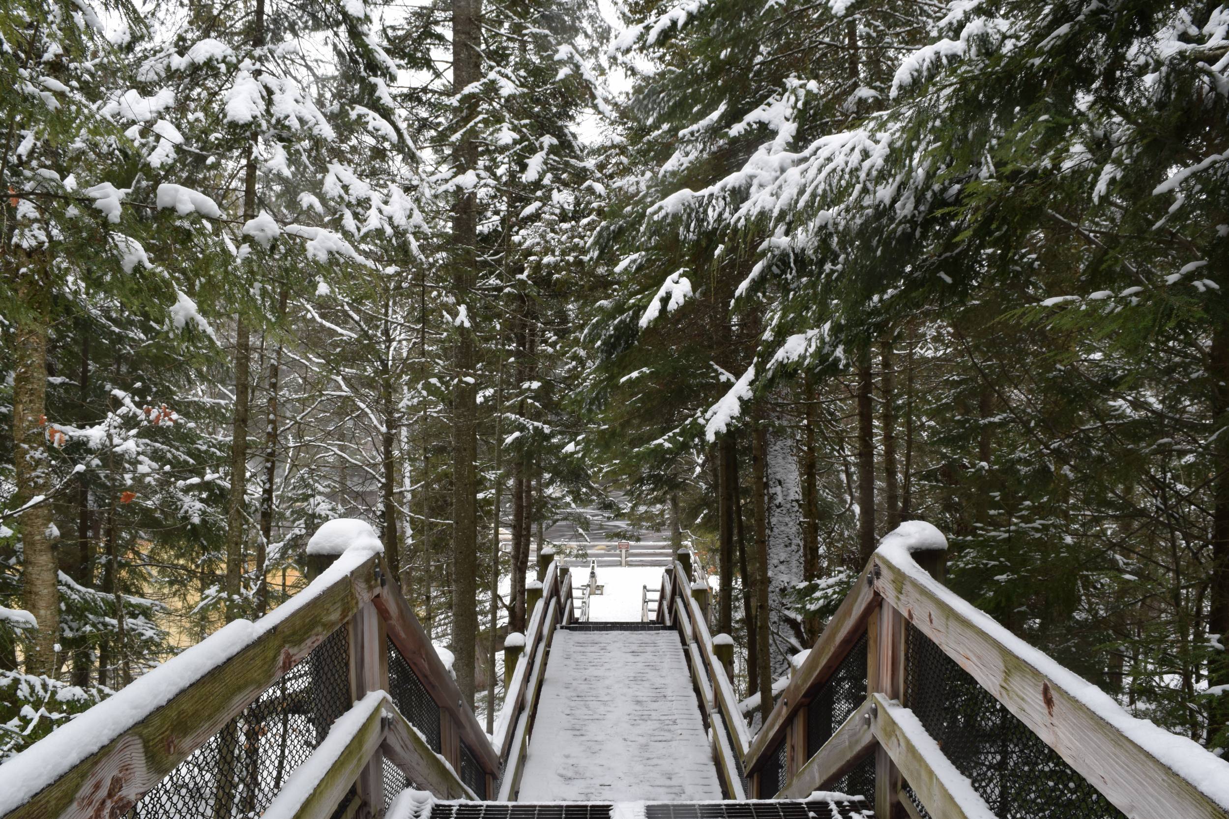 Tahquamenon Falls Dec 2014