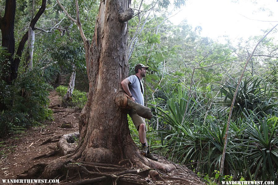 Taking a well-deserved rest - Hanalei Okolehao Trail