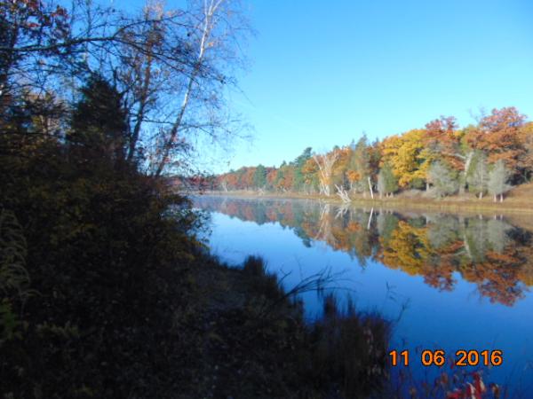 The Ausable River cuts thru the heart of the Pinery