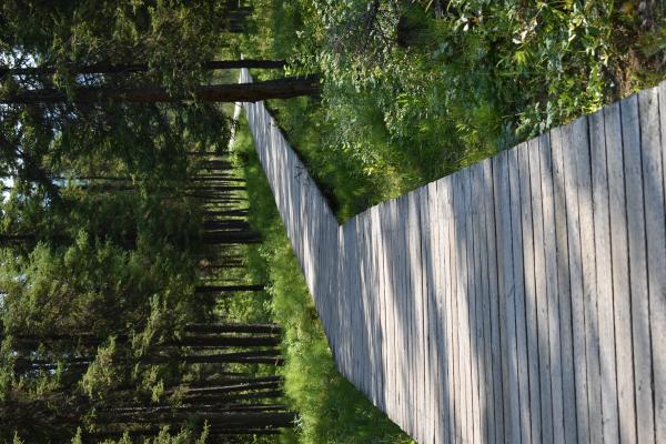 The boardwalk is how you walk to the hot springs.  There is water everywhere here.