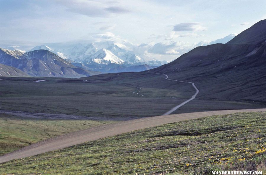 The Denali Park Road