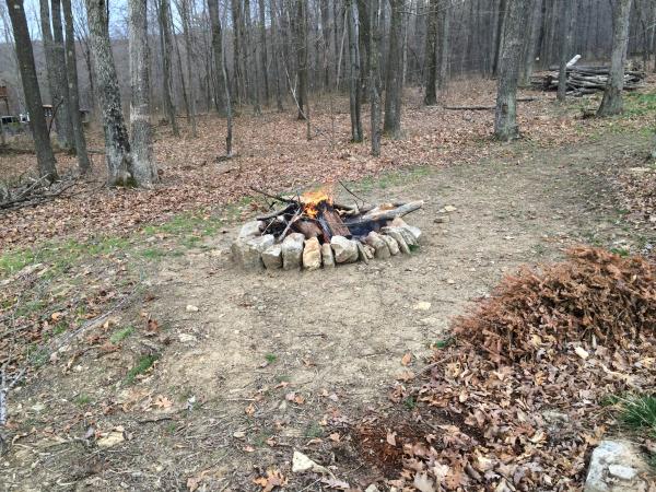 The fire ring in our backyard.  Who needs a campground?  Last year’s Christmas tree (camouflaged by the leaves in the lower right corner of the pictur