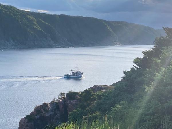 The fishing boats head out to sea each evening