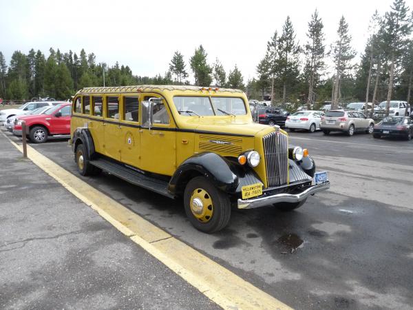 The open top antique Yellow buses are a fantastic way, especially if you are normally the driver, to be able to take in Yellowstone Park.  Old restore