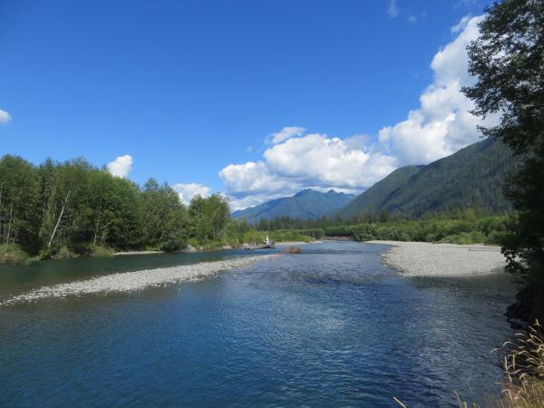 The Quinault River flowing from the Olympic Mountains