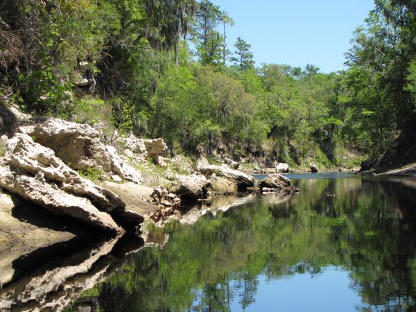 The Suwannee River at low water.