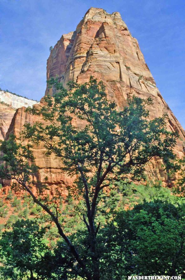 The walls of Zion Canyon