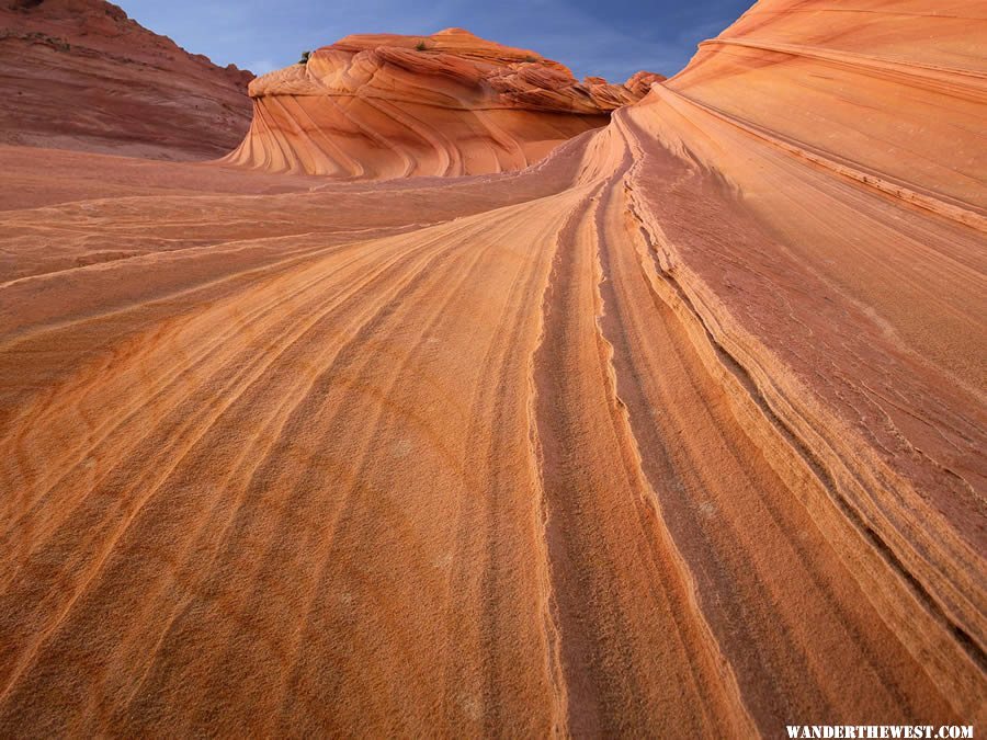 The Wave Formation - Coyote Buttes