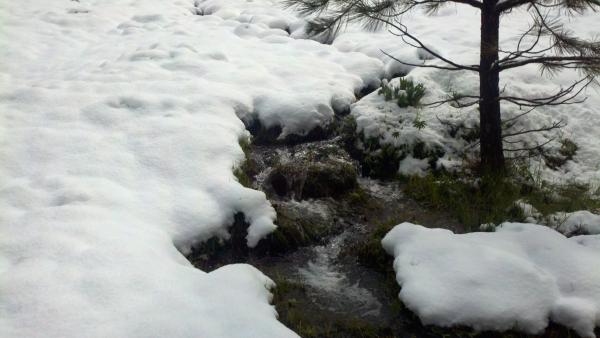 The white stuff is "Possible Showers"!