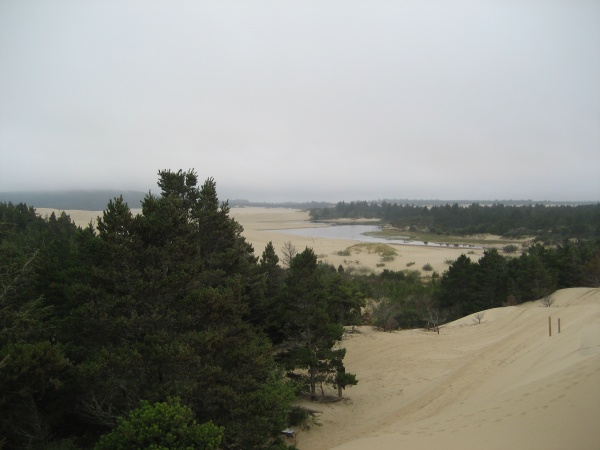 These next photos were taken in Florence, Or and the Oregon dunes.