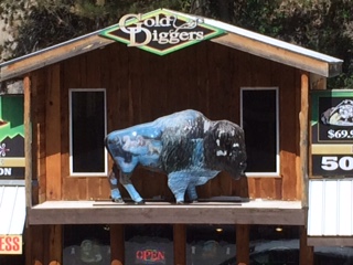 This buffalo on top of store in Keystone, SD