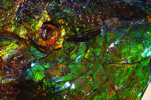 This is Ammolite, the iridescent fossilized remains of an Ammonite shell. The iridescent variety occurs only in a small area in Alberta, Canada. This 