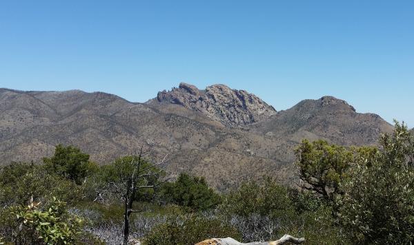 This rock formation is called Cochise Head.  This is the area where Cochise hid from the Army in the late 1800's