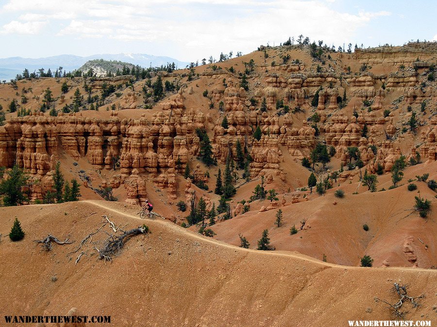 Thunder Mountain Trail