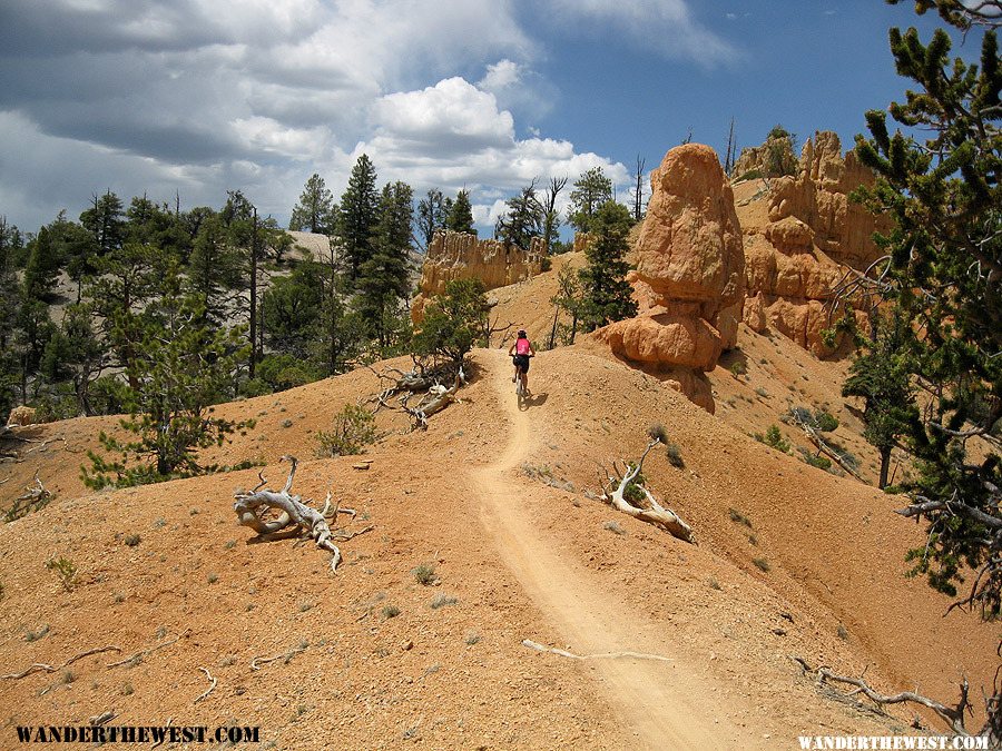 Thunder Mountain Trail