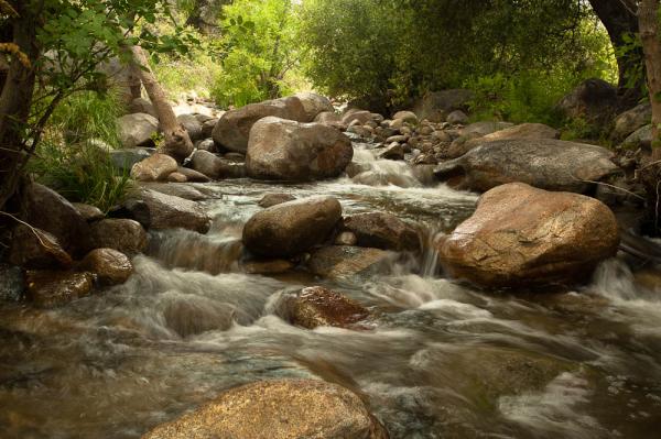 Tillie Creek, CA