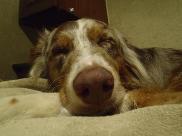 tired explorer! - Florida Caverns SP - Memorial Day wkd